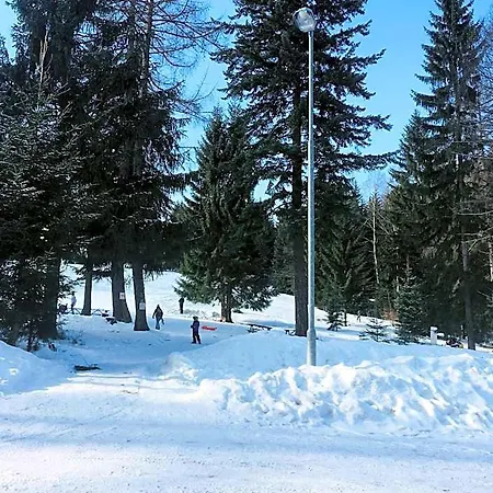 Lesni 3*