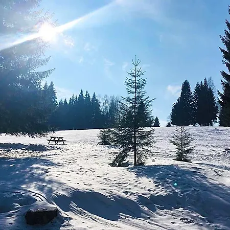 Lesni 3* Desna (Liberec)